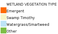Wetland Vegetation Type